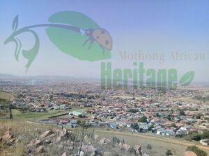  Mothong African Heritage 